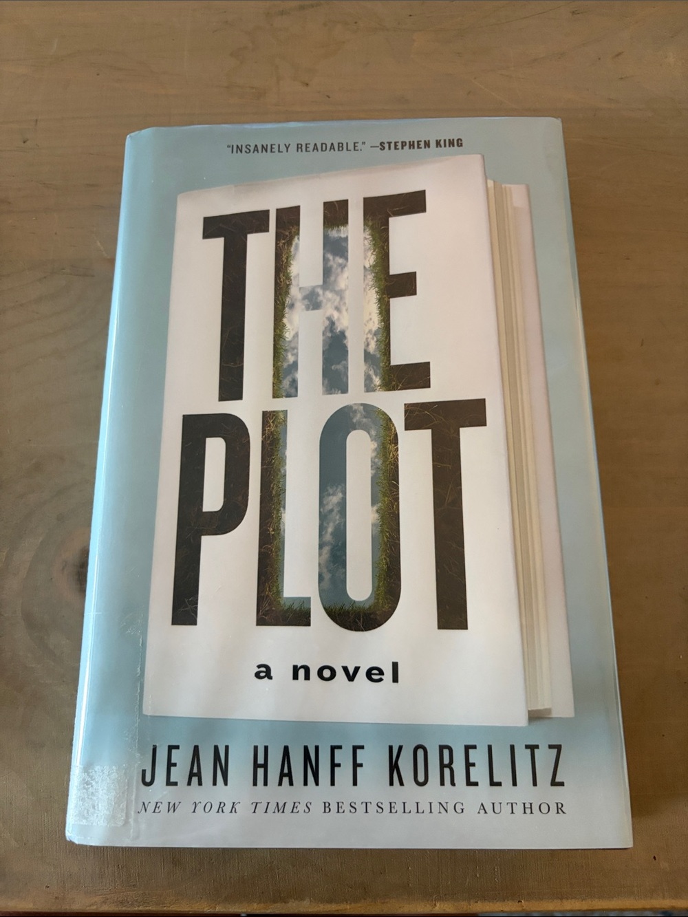 The Plot by Jean Hanff Korelitz - Light Blue & White Hardcover